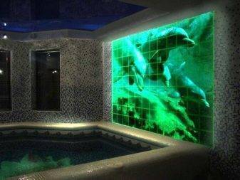 12c9bdb5b5211b620cba7e64ded7237f.jpg