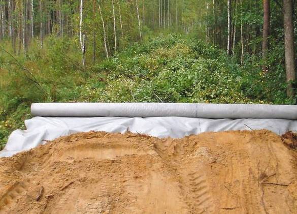 4d0f748819eaed514f16d6a13e303fe2.jpg
