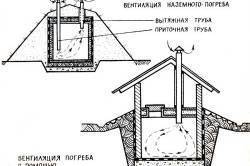 746d242d92852333067a96f98fea8ef8.jpg