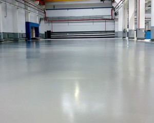 8915476afe25b3e0d37db9624d01373d.jpeg