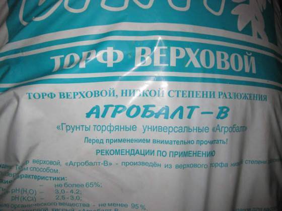 8ea94c43f92831875164f8b6d36379be.jpg
