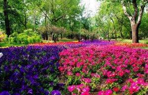 c14cbc6b5017d5a7a2aee9d06f7fab7d.jpg