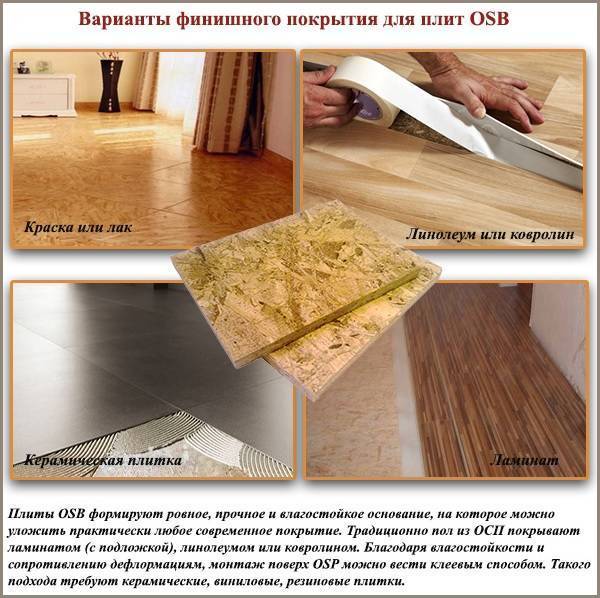 dd65a973f4df80c48ebde5ffe9c5f7a9.jpg