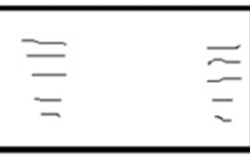 ebc3b9a1fd34530a010ef9adfd074cb1.png